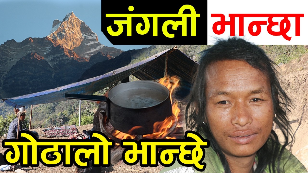हेर्नुहोस्, गोठालोको जंगली भान्छा ! घरमै बसेर भेडी गोठको भ्रमण गर्नुहोस् ||kiranpaudel