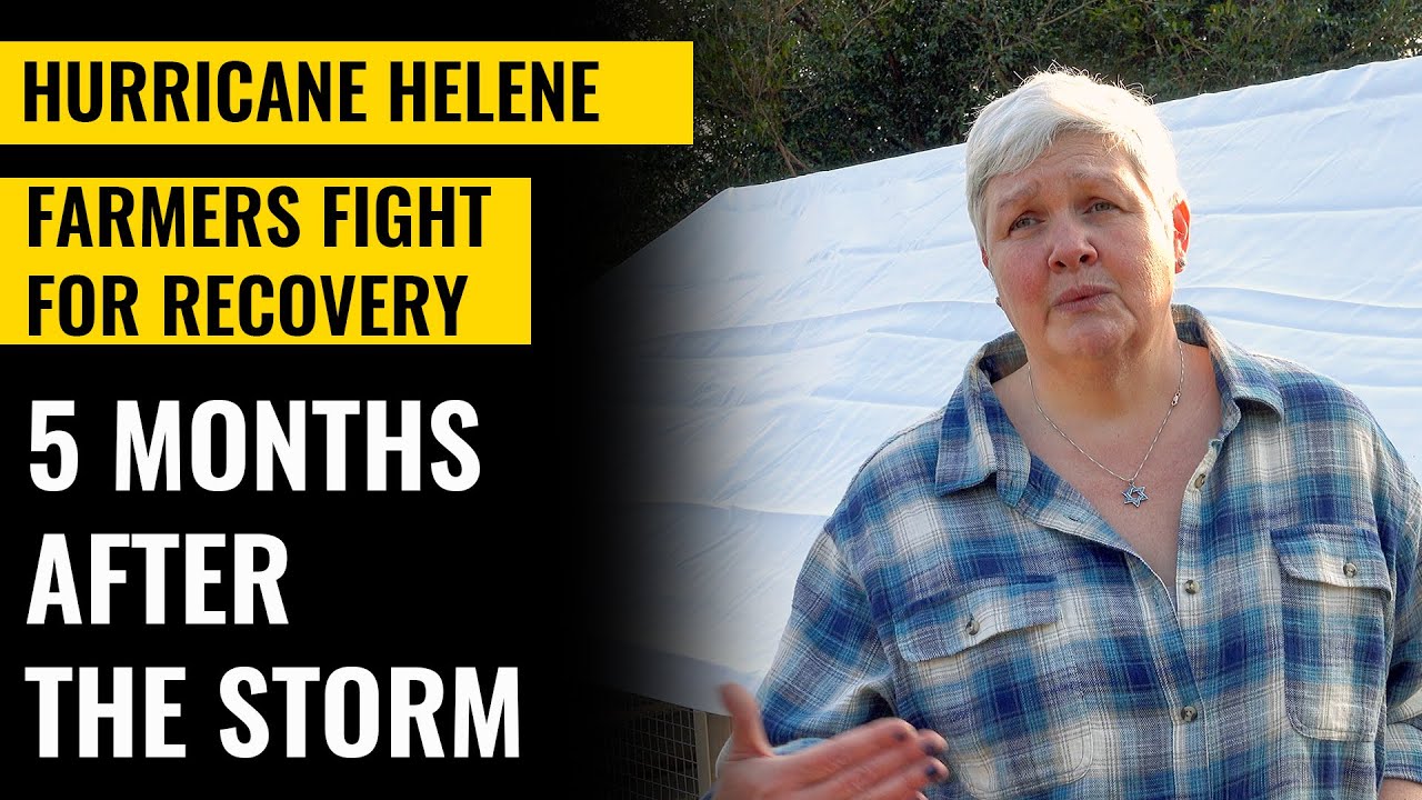 FARMERS FIGHT FOR RECOVERY | 5 Months After Helene