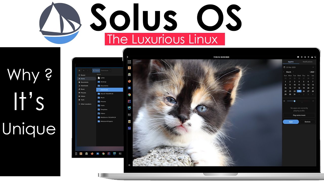 Solus OS 4.1 - A Unique LUXURY Linux Distro | Solus OS Review | Best Linux Distro 2020
