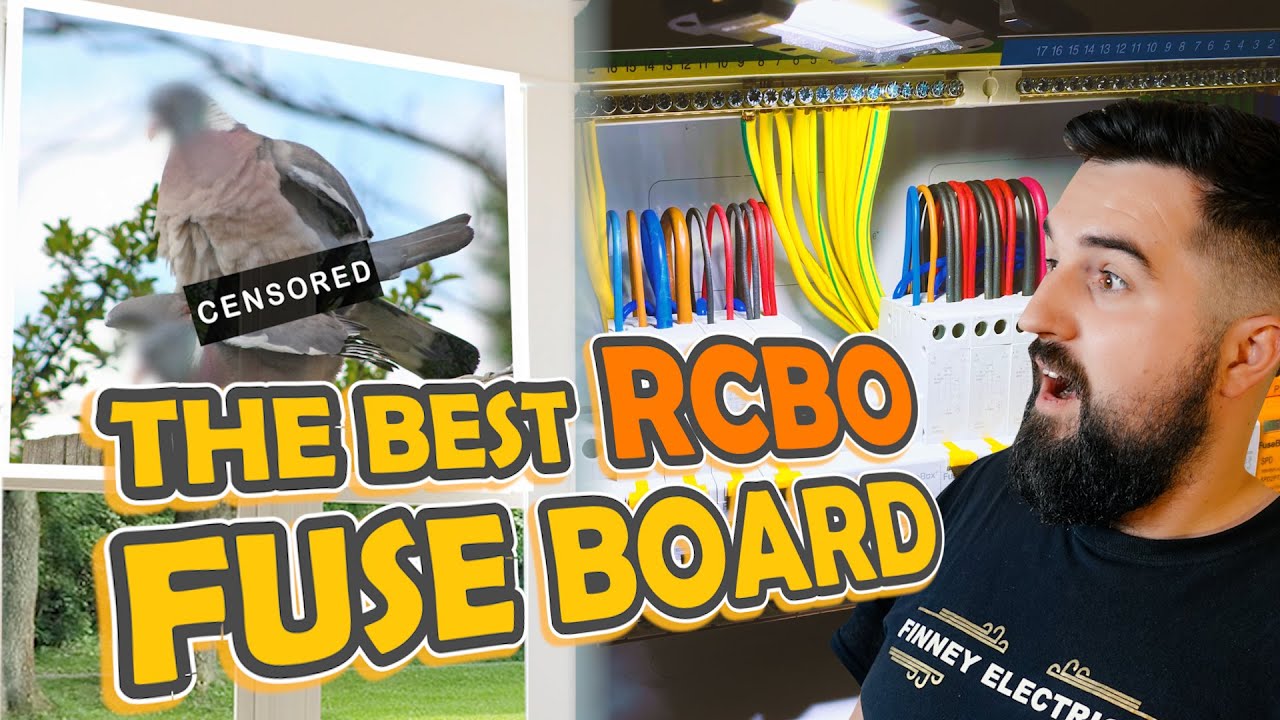 ULTIMATE RCBO FUSE BOARD ⚡ PIDGEON DID WHAT!?