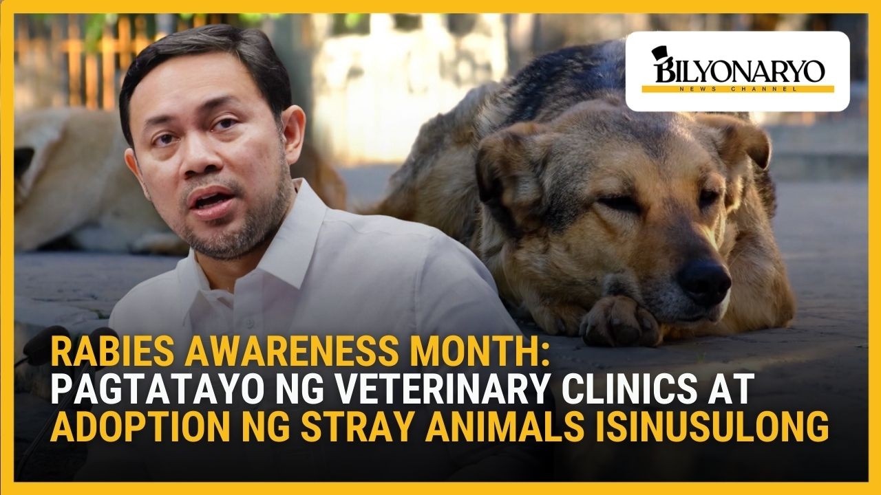 Senate isinusulong pagtatayo ng veterinary clinics sa bawat lungsod para labanan ang rabies | Agenda