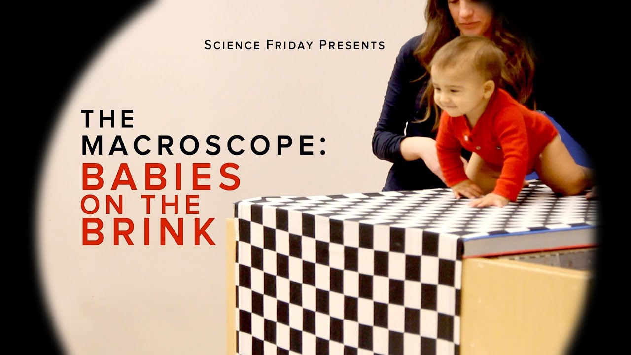 Babies on the Brink