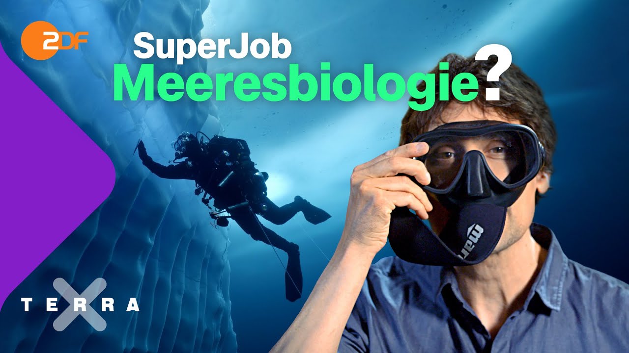 Was genau macht eigentlich der Meeresbiologe und Forschungstaucher Uli Kunz? | Terra X plus