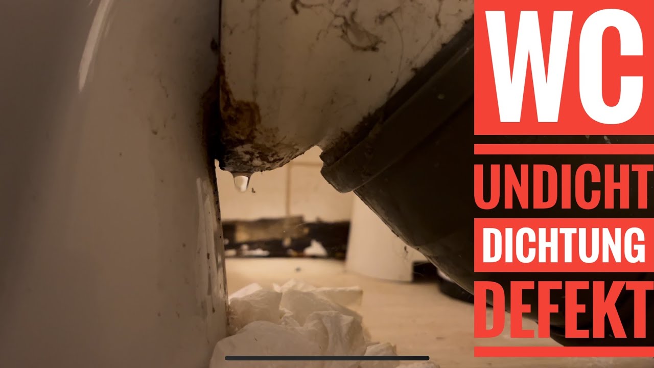 Toilette undicht Reparatur