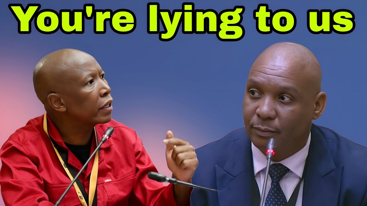 Julius Malema angry at Cedrick Nkabinde for "Lying" on his evidence.
