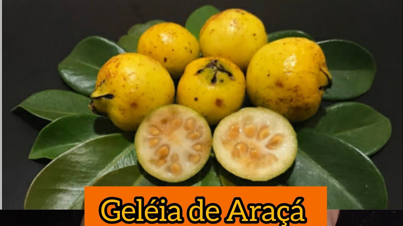 #geleia #araçá #natureza                     Geléia de Araçá