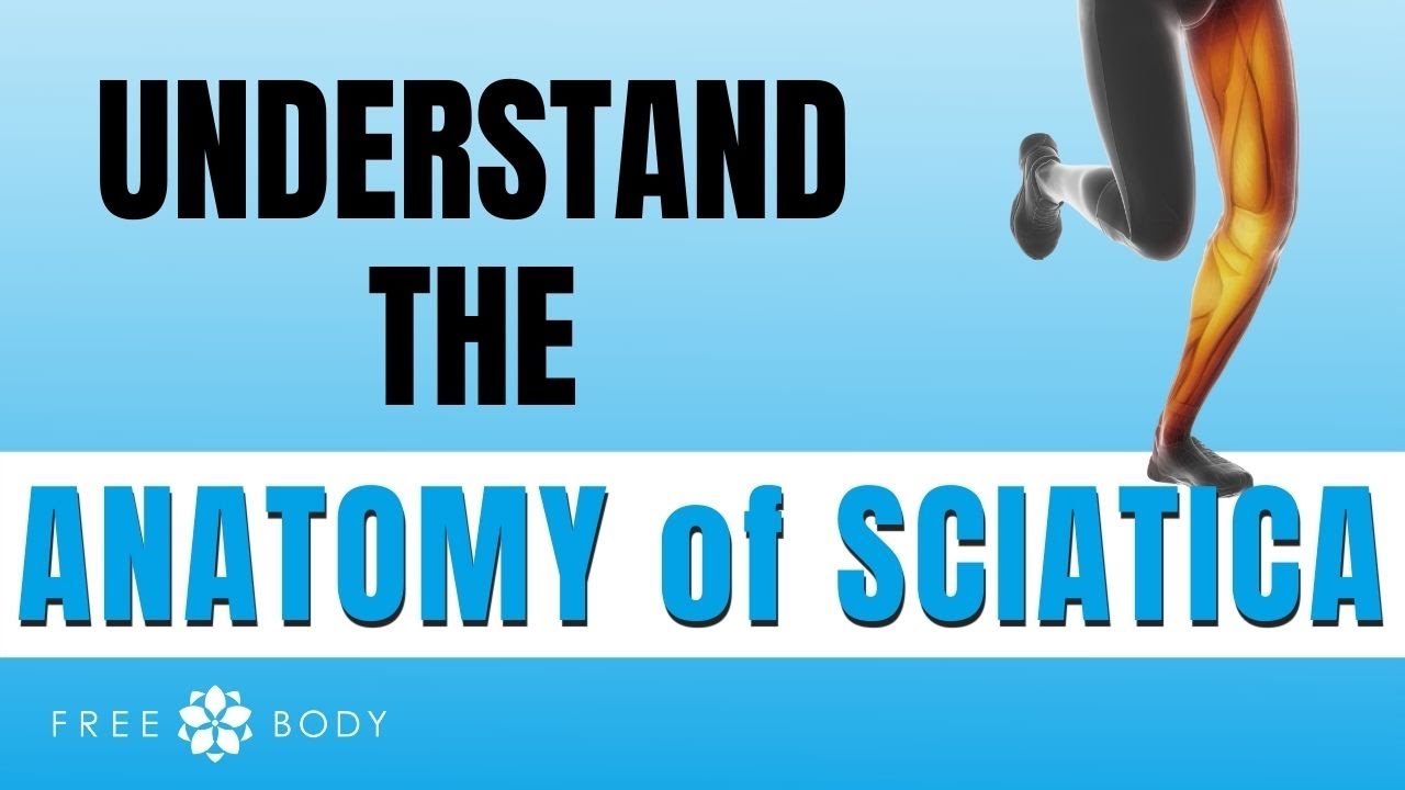Understanding Sciatica Pain and Anatomy