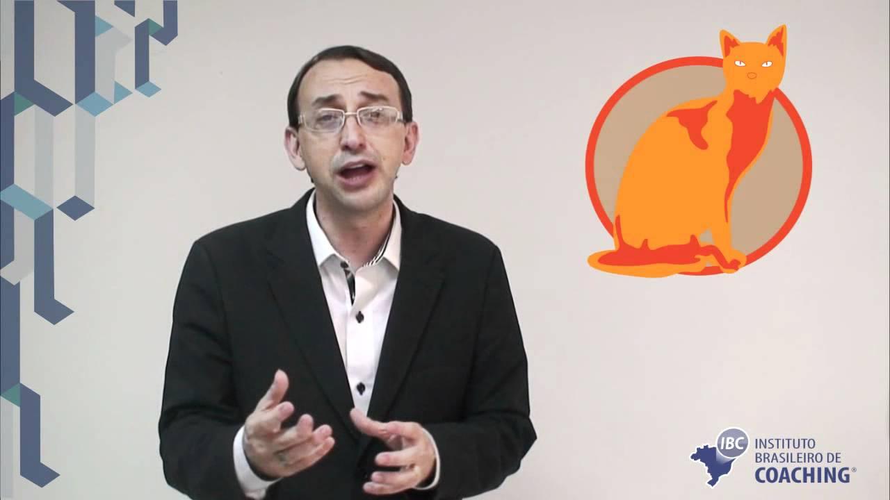 IBC Coaching - Perfil Comportamental - Gato