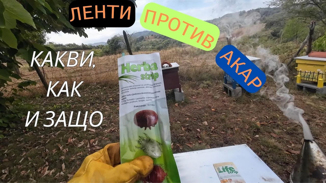 ЛЕНТИ ПРОТИВ АКАР, КАКВИ, КАК И ЗАЩО