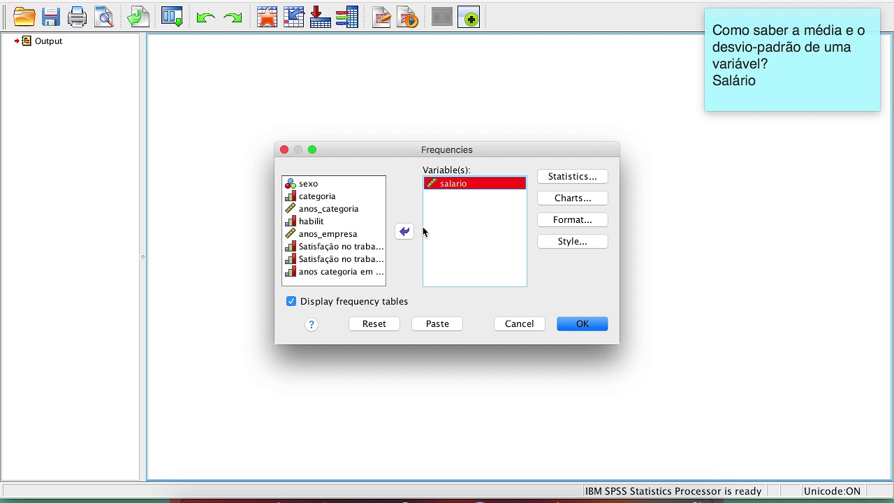 SPSS: Média e Desvio Padrão