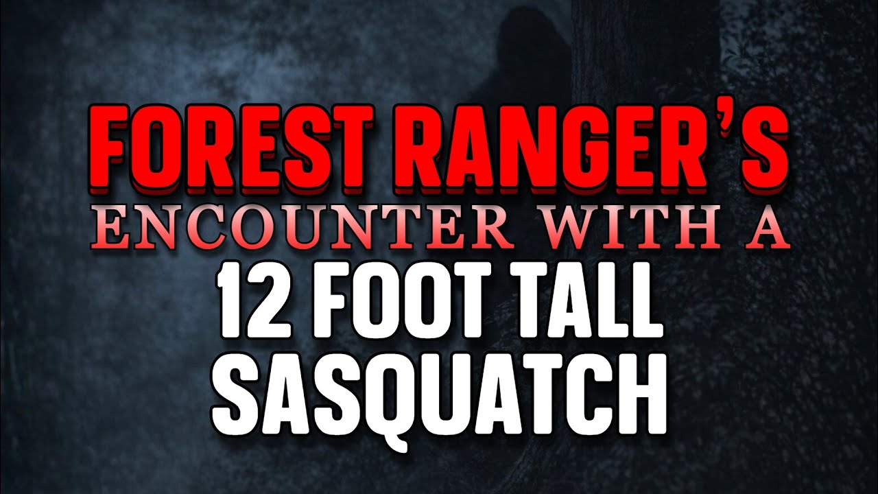 FOREST RANGER'S ENCOUNTER WITH A 12 FOOT TALL SASQUATCH