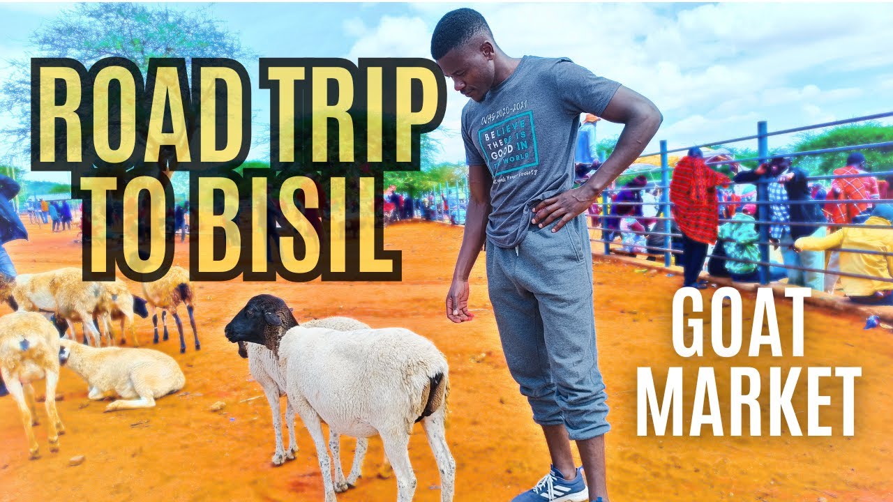 Road Trip to Bisil Goat Market: Maasai Vibes  & Adventure!