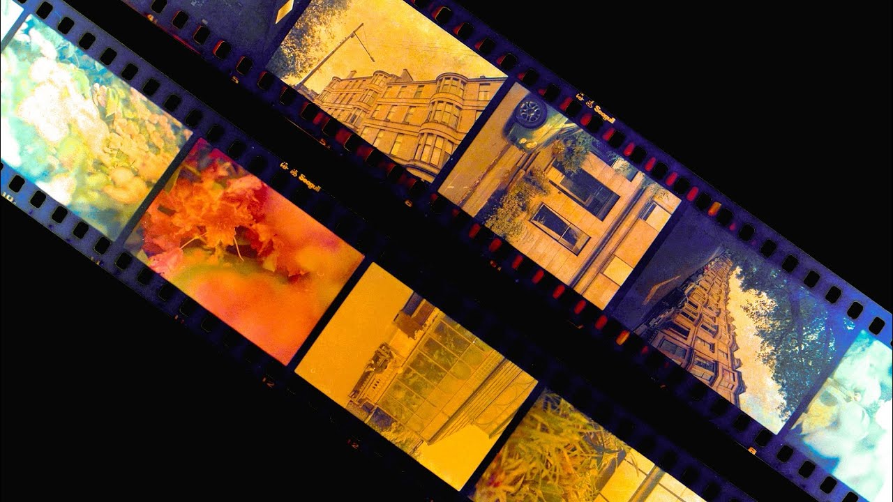 My First Roll of Seagull Color IR100, in the Canon New F-1