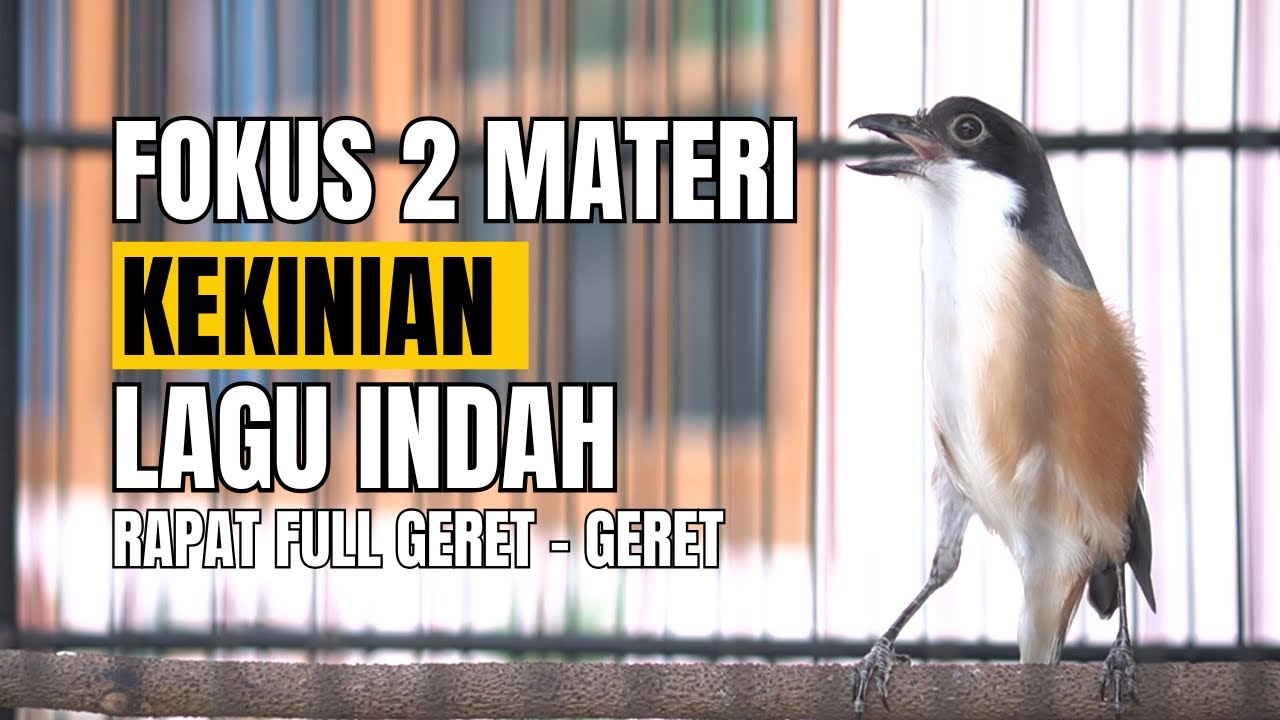 MATERAN BURUNG CENDAT VARIASI 2 LAGU RAPAT GERET - GERET  