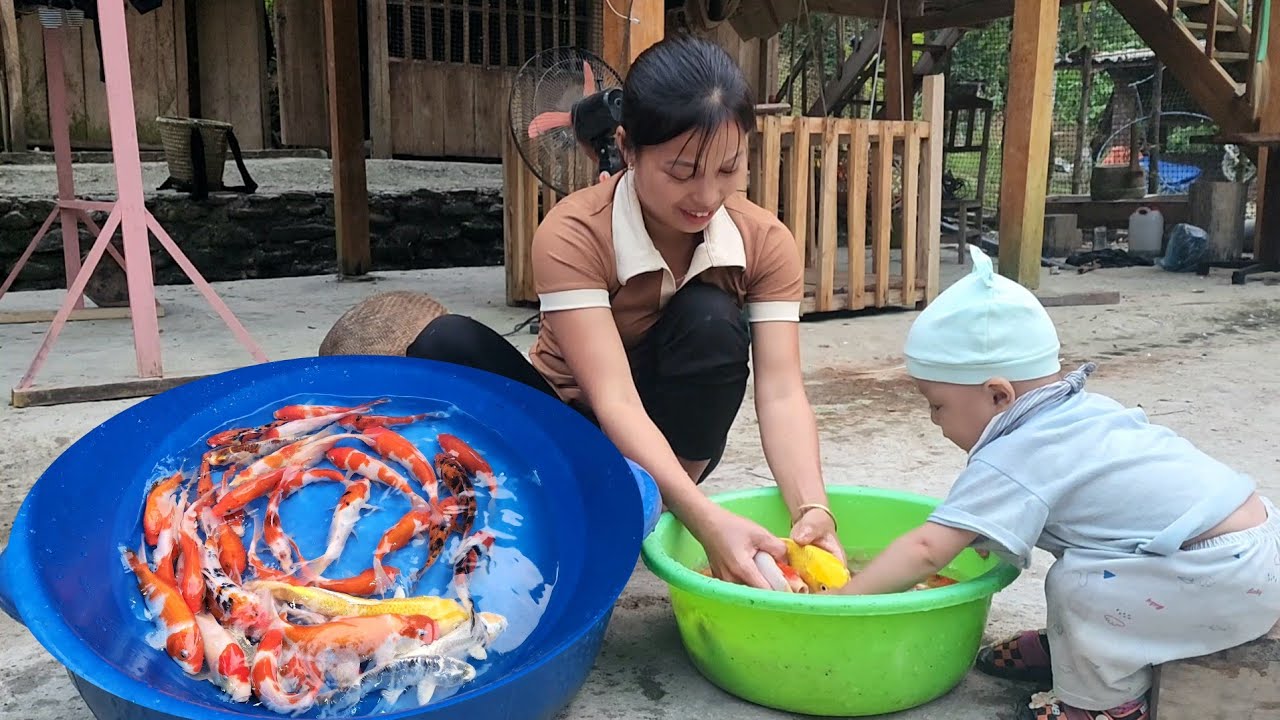 Harvest gourds and bring them to the market to sell, buy fish fingerlings to stock the pond