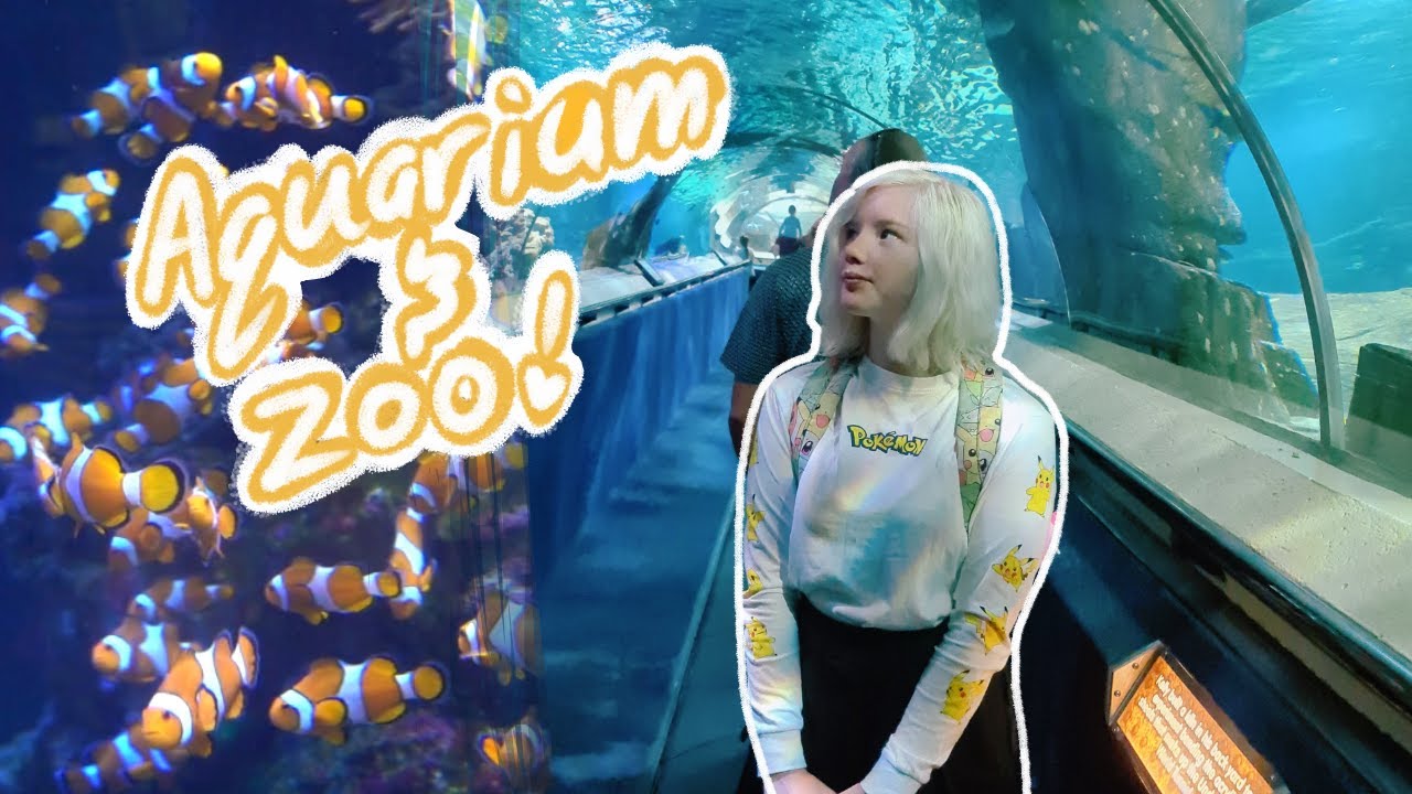 AQUARIUM & ZOO TRIP! (Auckland Vlog 3)