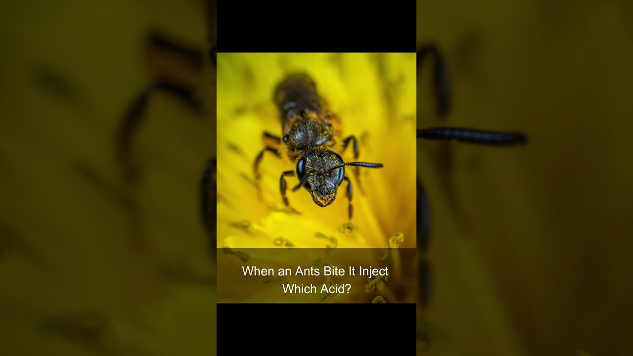 When an Ant Bites It Injects Which Acid?