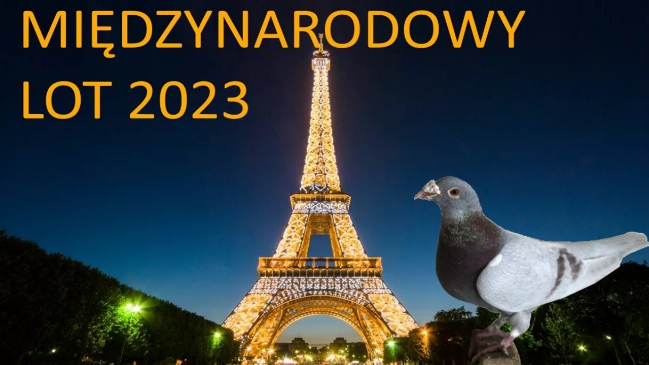 Popołudniowe wypuszczenie gołębi godz. 17