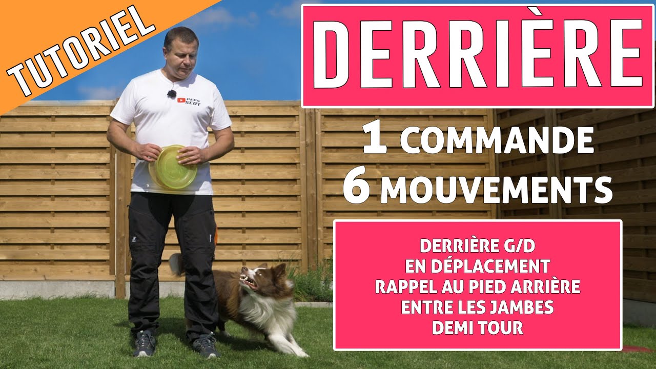 FAIRE PASSER SON CHIEN PAR L’ARRIÈRE