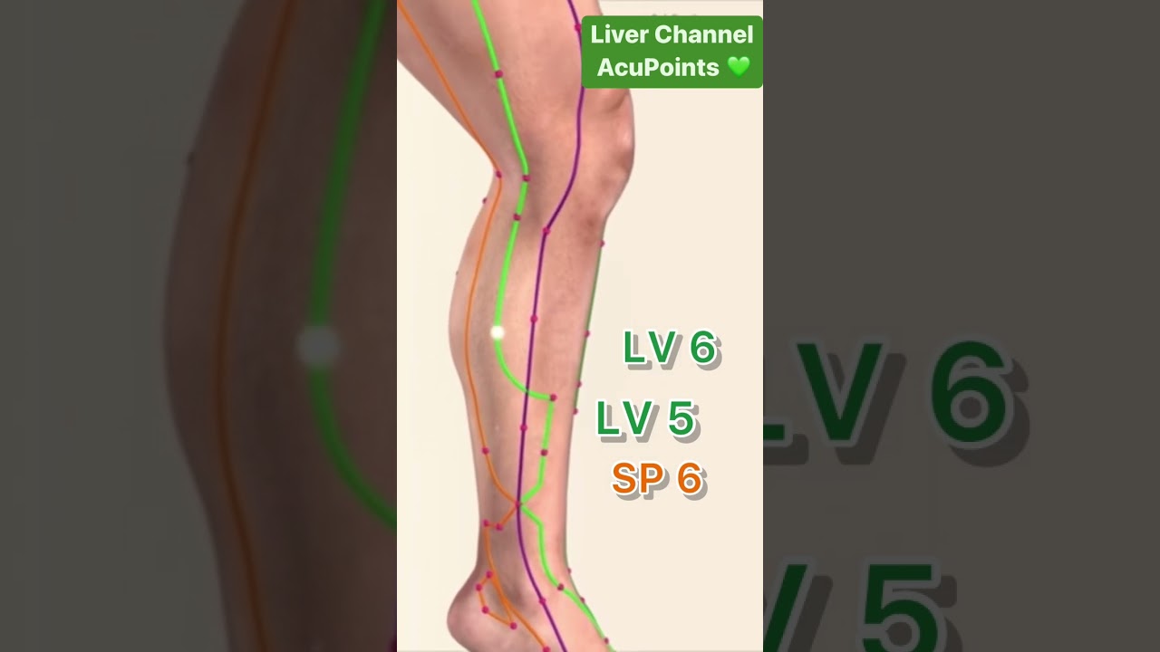 Liver Meridian Acupuncture Points #acupuncturepoints