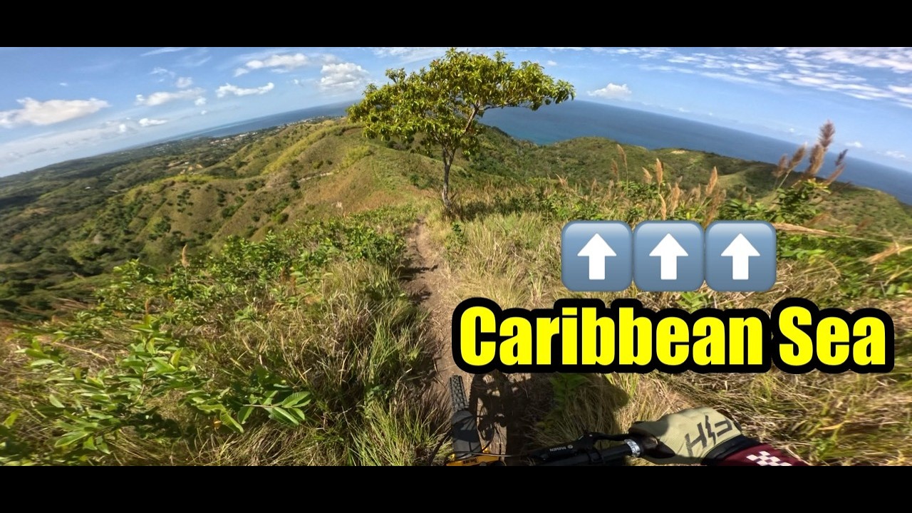Beautiful Tobago Mountains Overlooking The Caribbean Sea