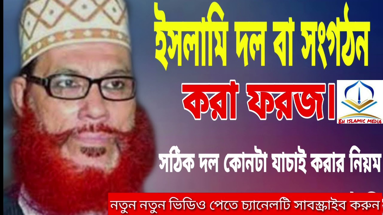 ইসলামী দল করা কি ফরজ || Allama Delwar Hussain Saidi