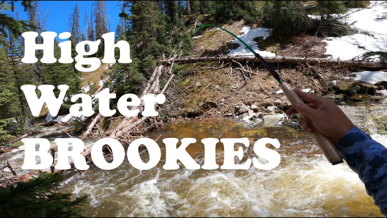 Dragontail's FoxFIRE is PERFECT For This Creek | Tenkara Fly Fishing
