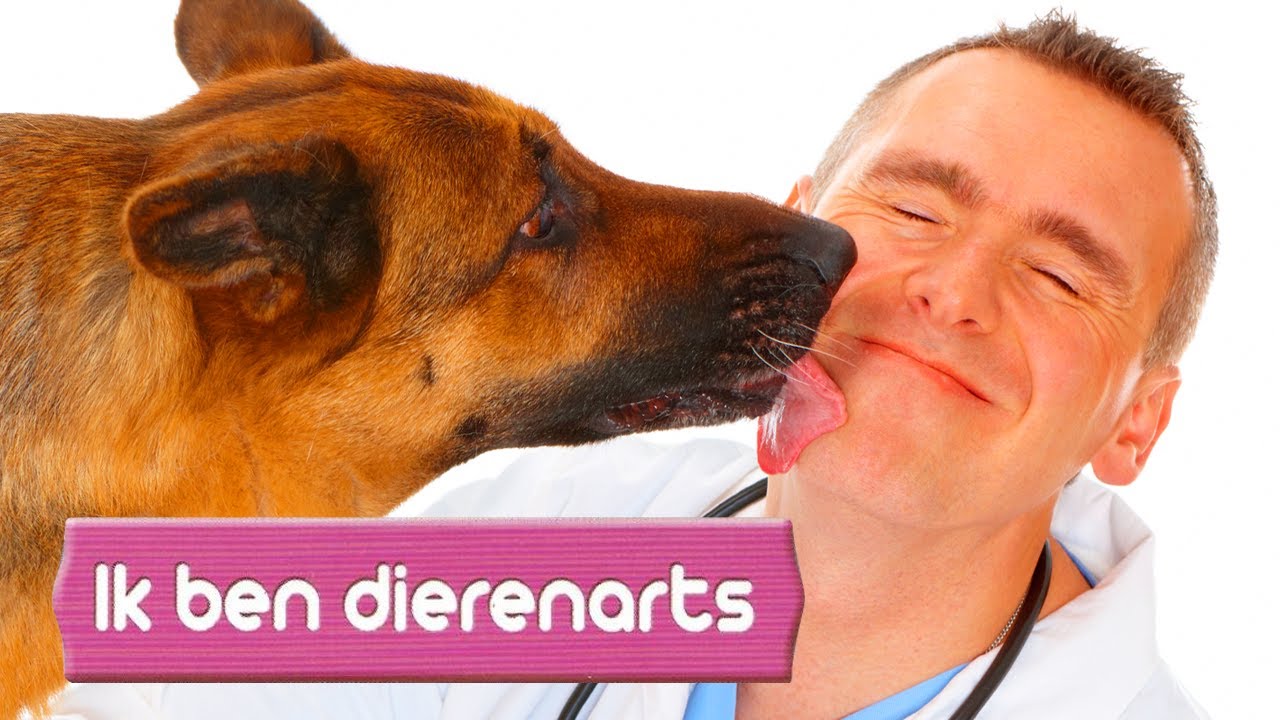 Ik ben Dierenarts -  Lekker spelen