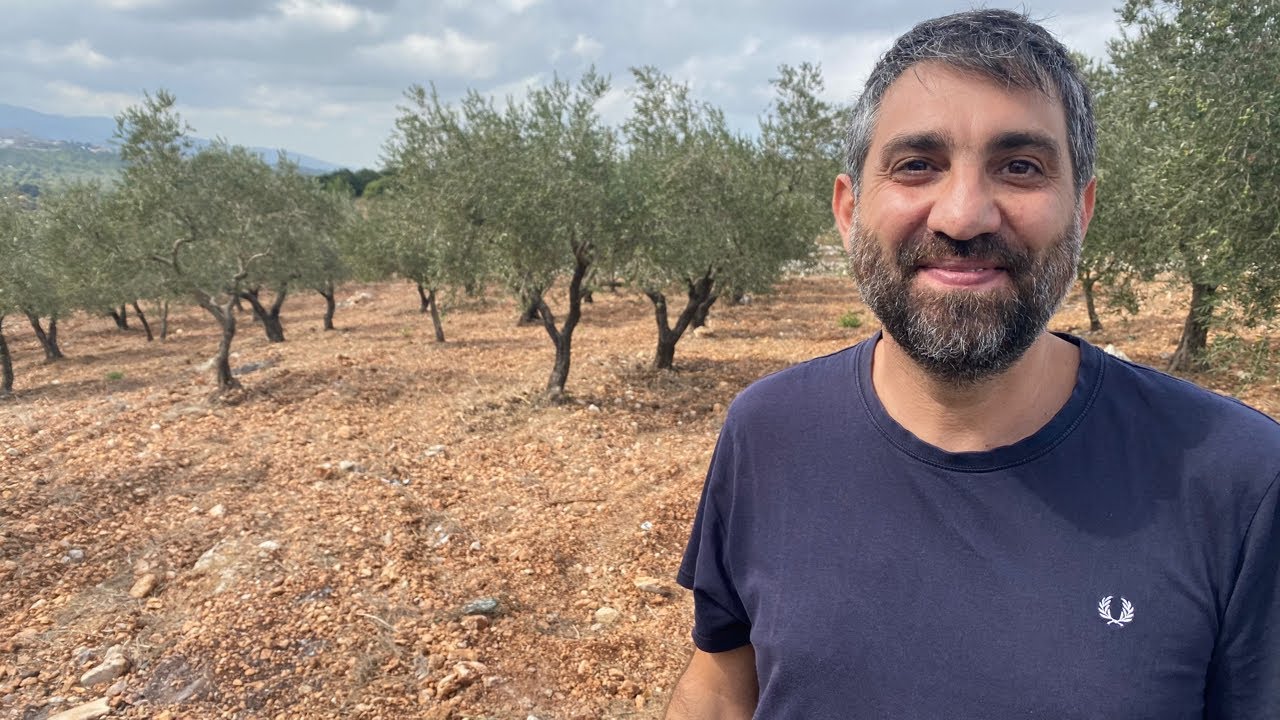 Everything About Lebanese Olives and Olive Oil: LIVE with Youssef Fares in Beino, Akkar (Zejd)
