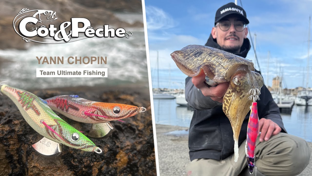 Comment pêcher la seiche... Technique et stratégie !