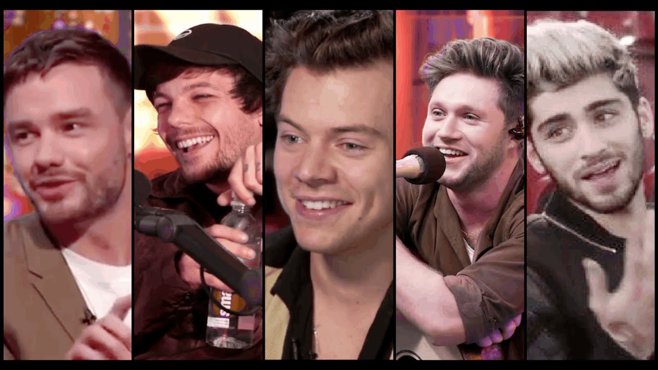 one direction talking about each other during hiatus