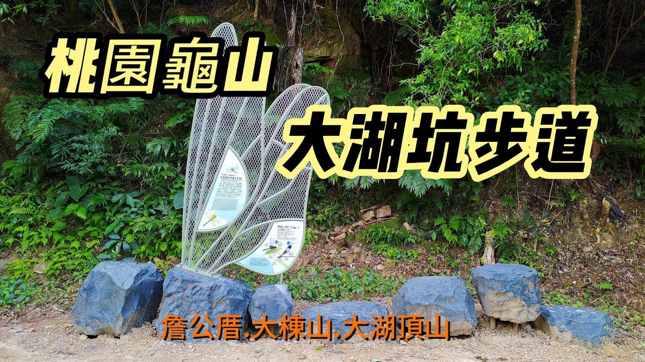 [桃園]龜山兔子坑~大湖坑步道上小百岳大棟山