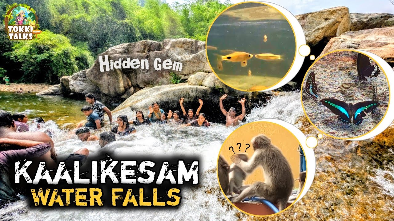 Kaalikesam Waterfalls in kanyakumari | காளிகேசம் அருவி | Kali amman temple#falls#hiddenfalls#monkeys