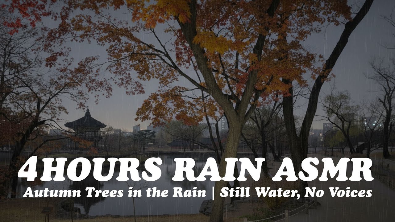 Autumn Trees in the Rain | Still Water, No Voices