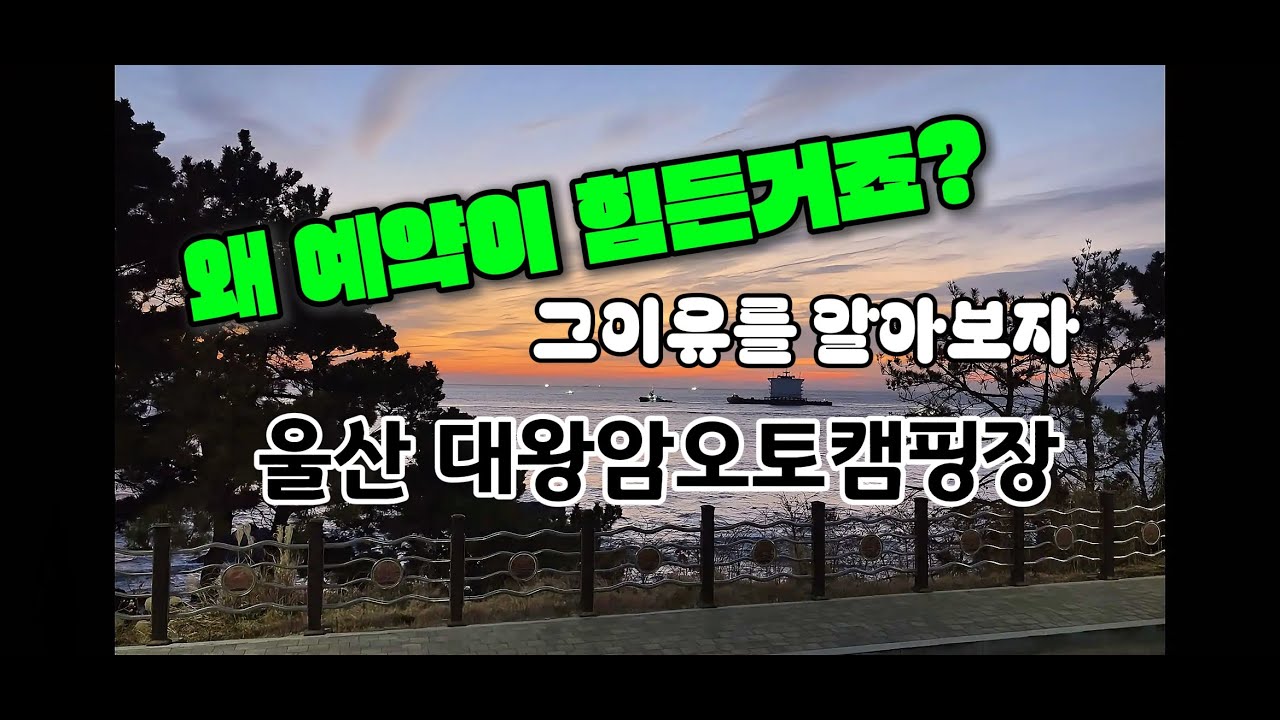 울산 대왕암오토캠핑장｜아이와 함께한 가족 카라반캠핑 브이로그