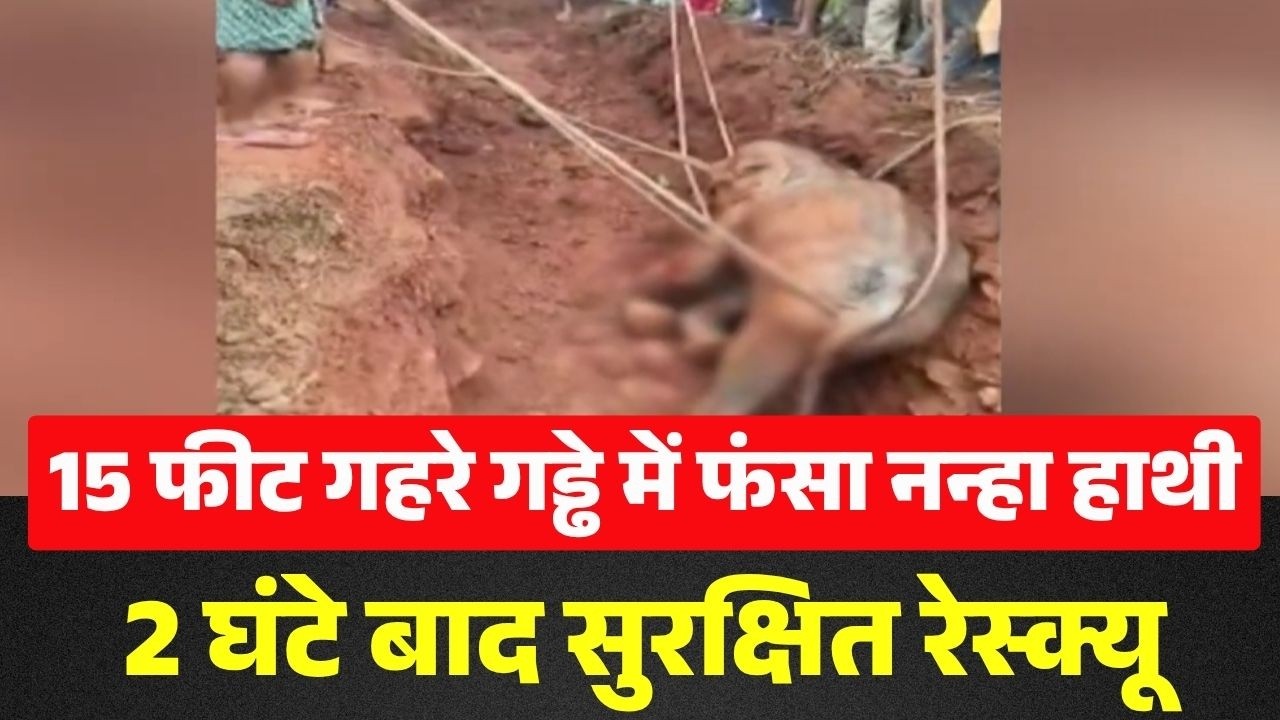 Odisha Elephant Rescue: Baby elephant stuck in 15-foot deep pit, safely rescued after 2 hours