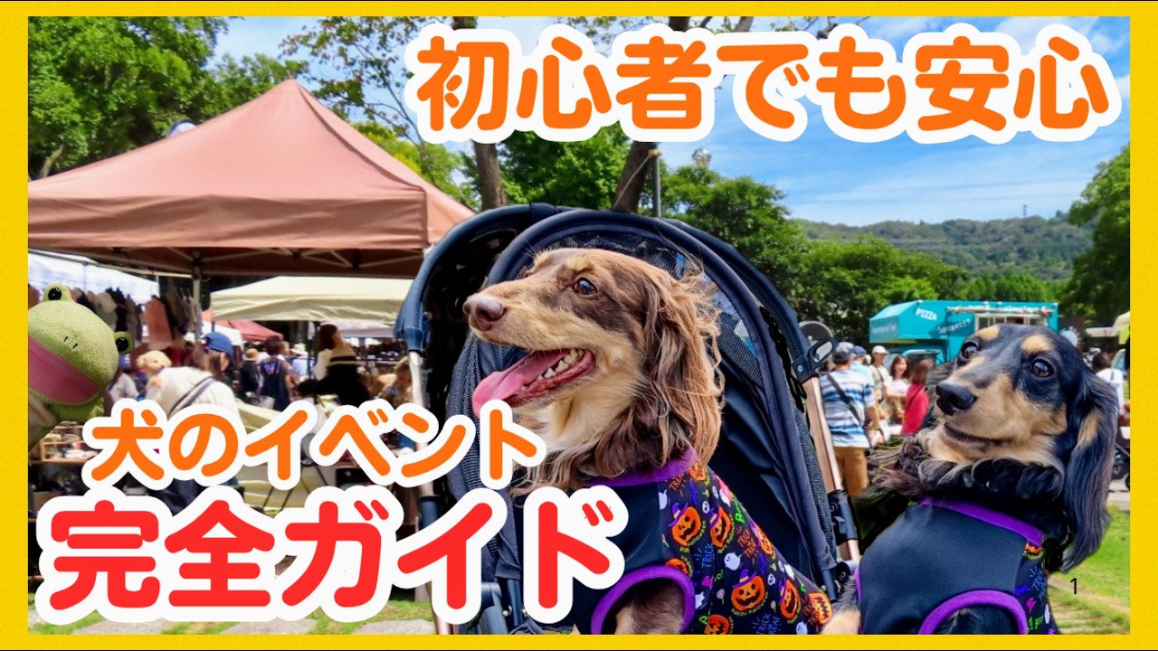 【犬のイベントデビュー】行きたいけど不安な方必見！ ゆるりと安心お出かけガイド