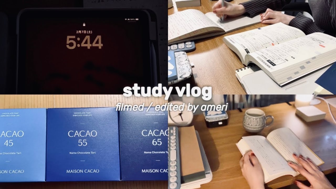 【Eng】Study Vlog  ||  5:30起き社会人SEの生産的休日｜家に籠って勉強する日｜A Quiet Day Off | Study & Daily Life