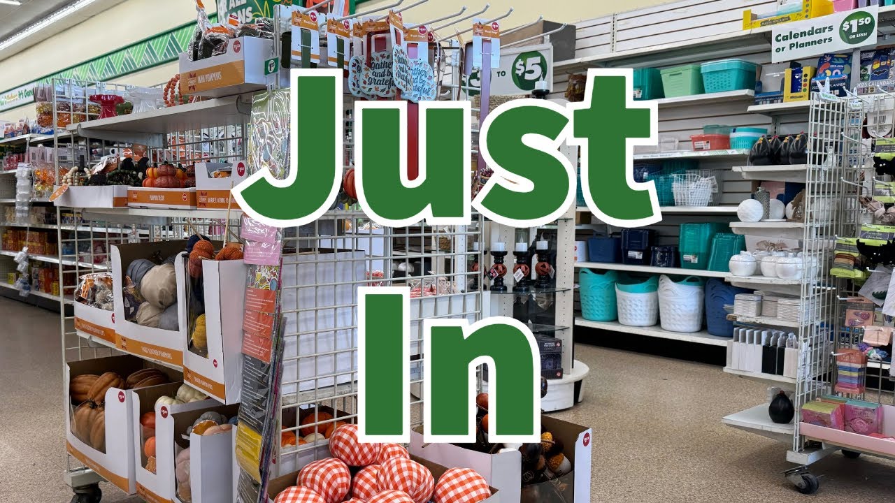 Dollar Tree 2024 | NEW Finds This Week😮😮😮