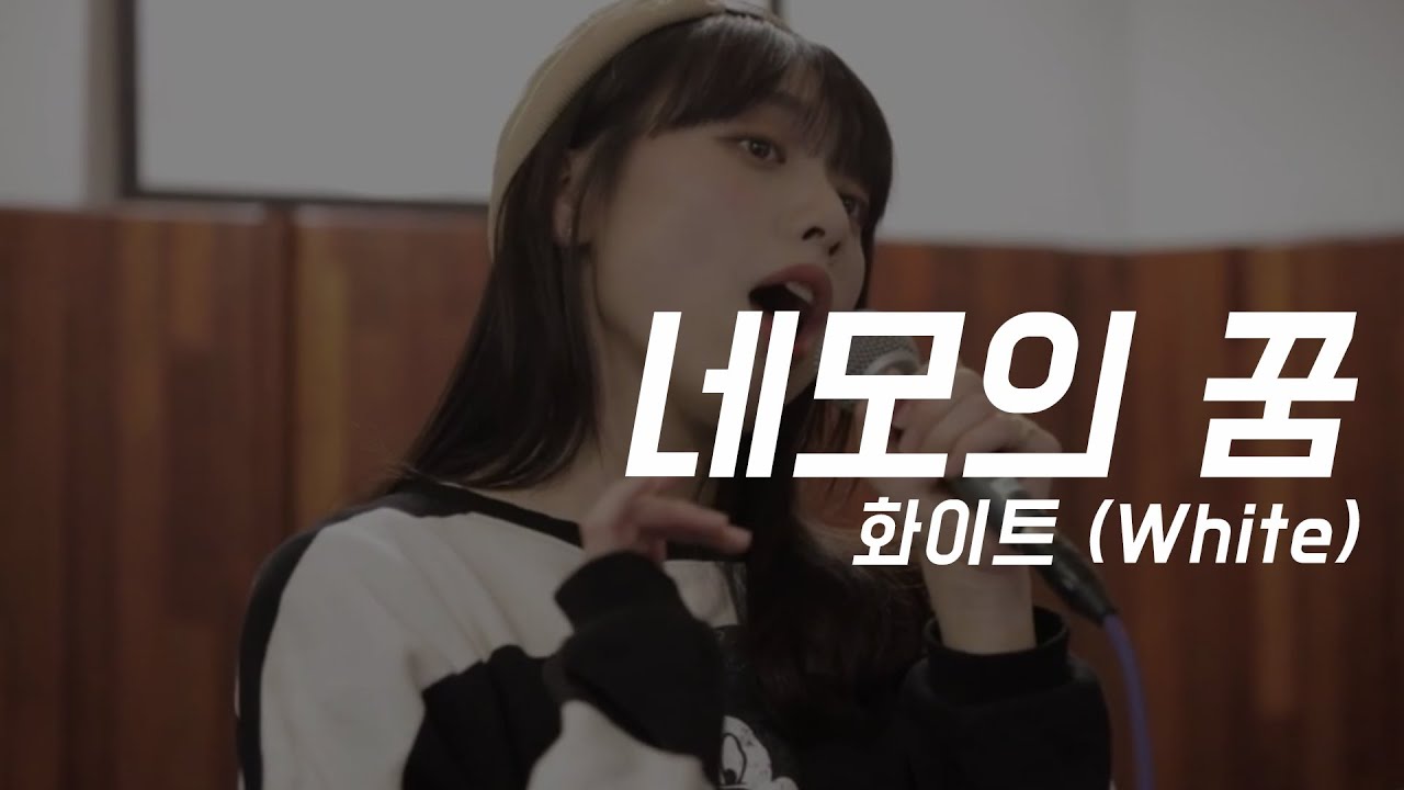 화이트(white) -  네모의 꿈 (Acoustic Ver.) - Cover By 박다빈
