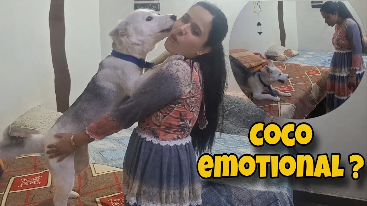 Coco hui emotional?🤔Pure Hearts