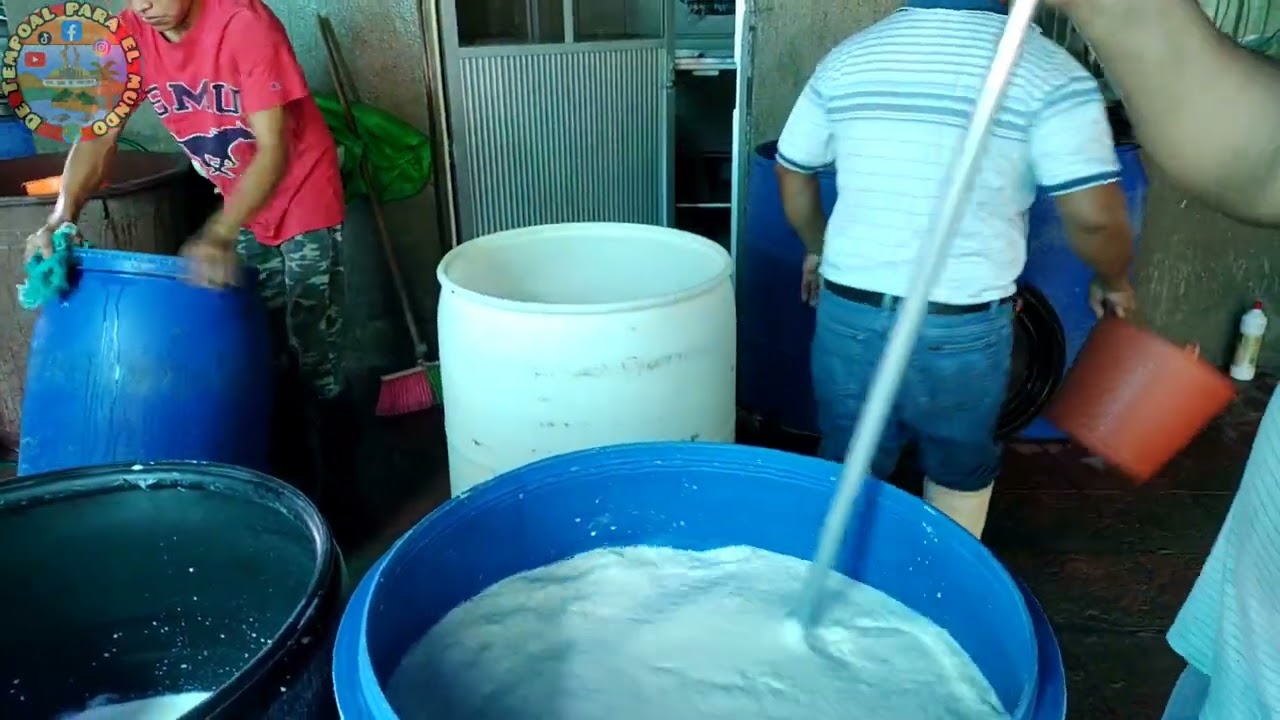 Elaboración de queso de bola y asadero en Tempoal Veracruz 🇲🇽