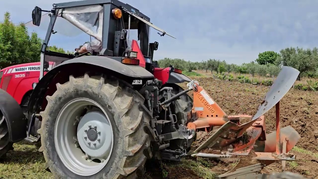 #masseyferguson 3635 e #galucho 16