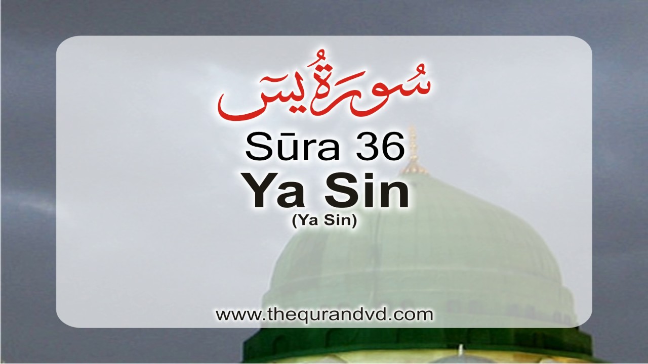 Surah 36 - Chapter 36 Ya Sin  HD Audio Quran with English Translation
