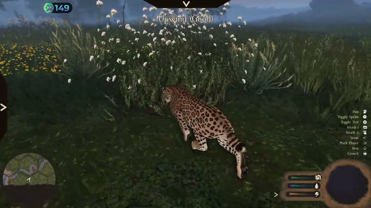 Western Horse Ambush (Good on Their Spotting/Always enjoy a Challenge)