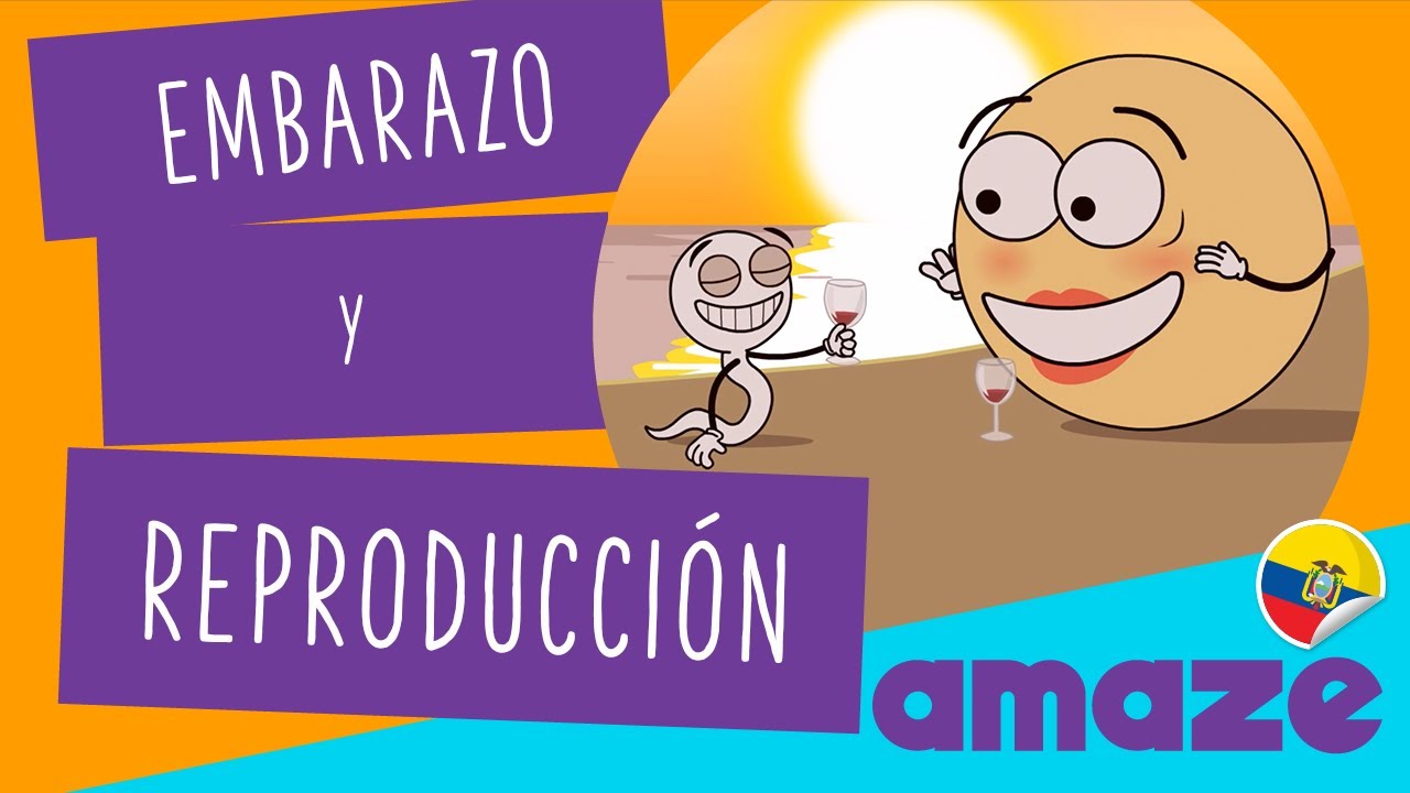 Embarazo: reproducción y nacimiento (Ecuador)