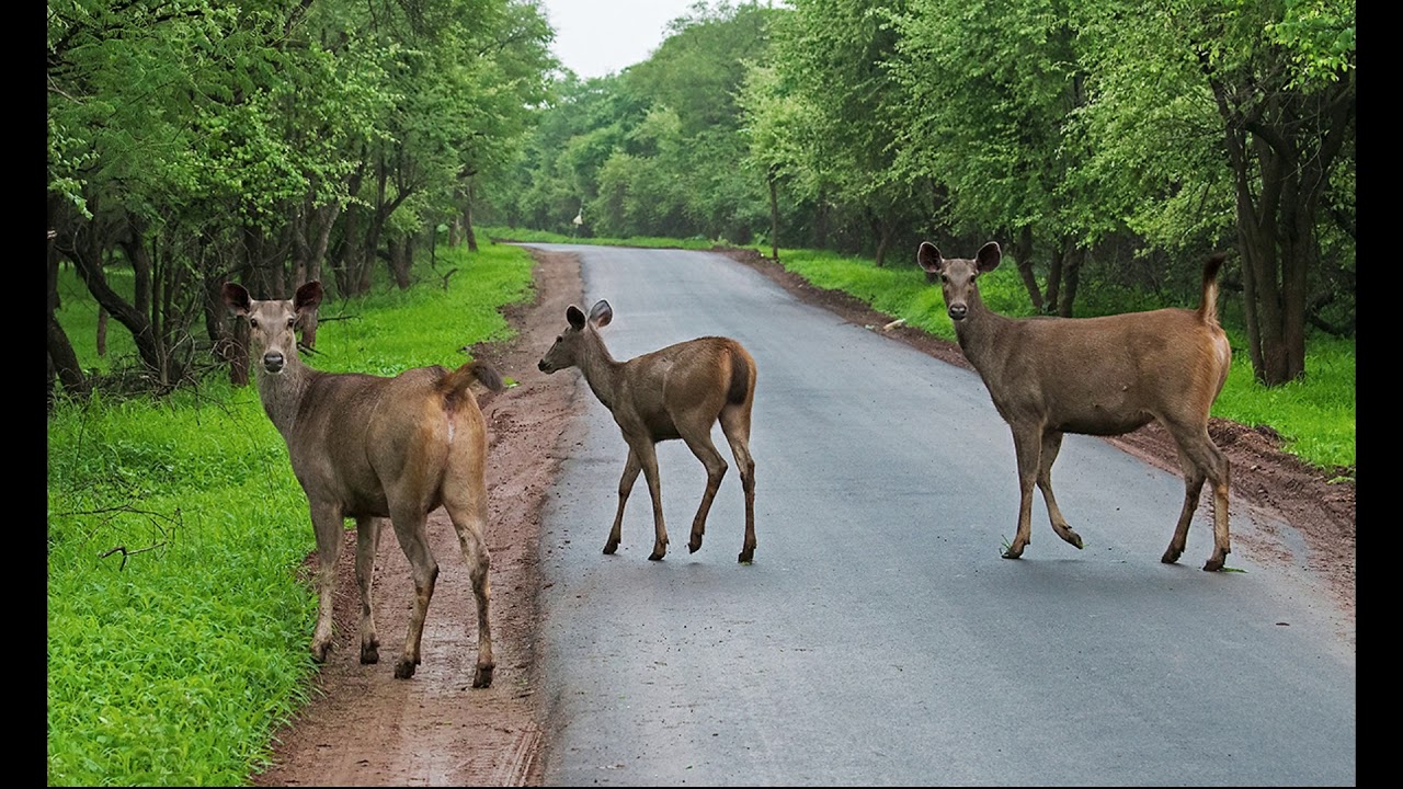 Best places to visit in Saurastra, Gujarat | Part - 1