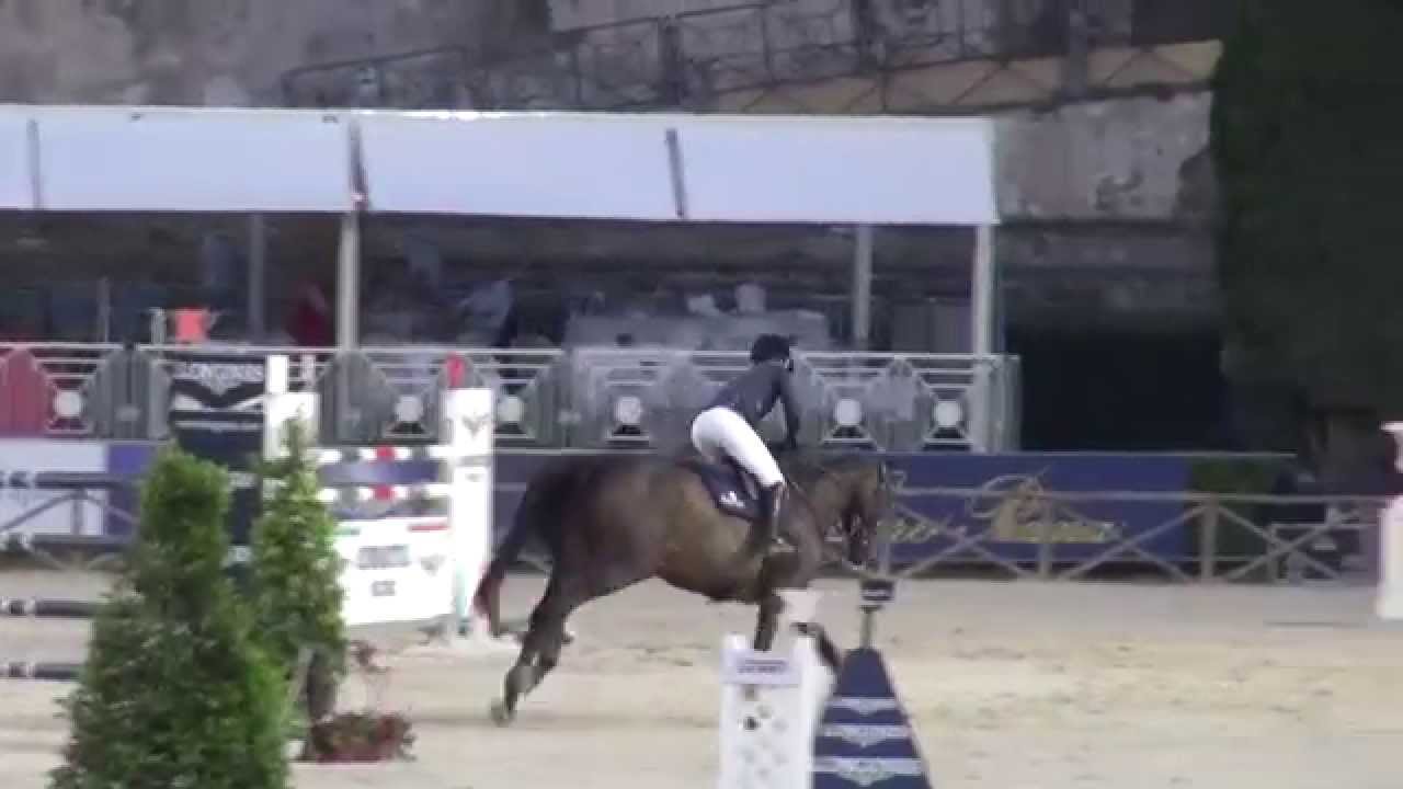 Chamonix (webstallions.com)