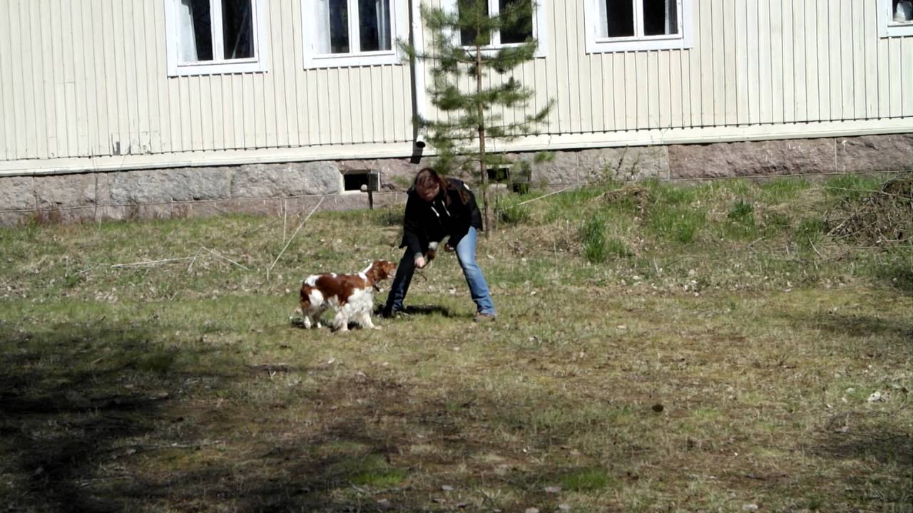 MH-luonnekuvaus 9. leikki ja 10. ampuminen (Ronja)