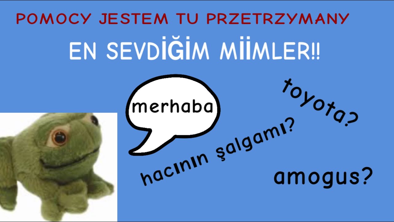 EN SEVDİĞİM MİİMLER!
